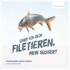 Fisch, Seafood, meeresfrüchte